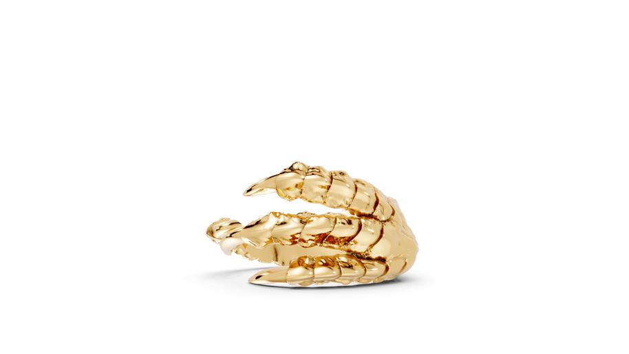 Talons - 10K Yellow Gold - Pocket Rock Jewelry