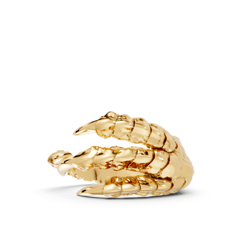 Talons - 10K Yellow Gold - Pocket Rock Jewelry