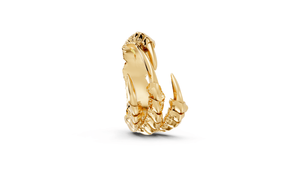 Talons - 10K Yellow Gold - Pocket Rock Jewelry
