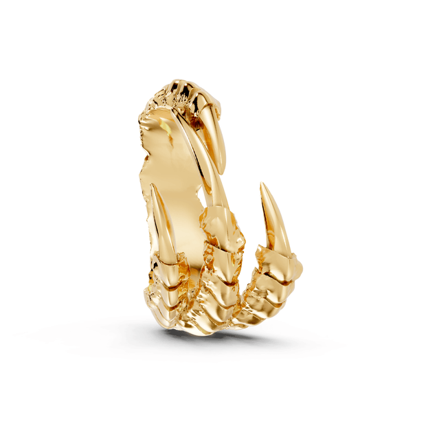 Talons - 10K Yellow Gold - Pocket Rock Jewelry