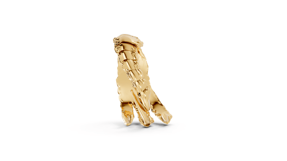 Talons - 10K Yellow Gold - Pocket Rock Jewelry
