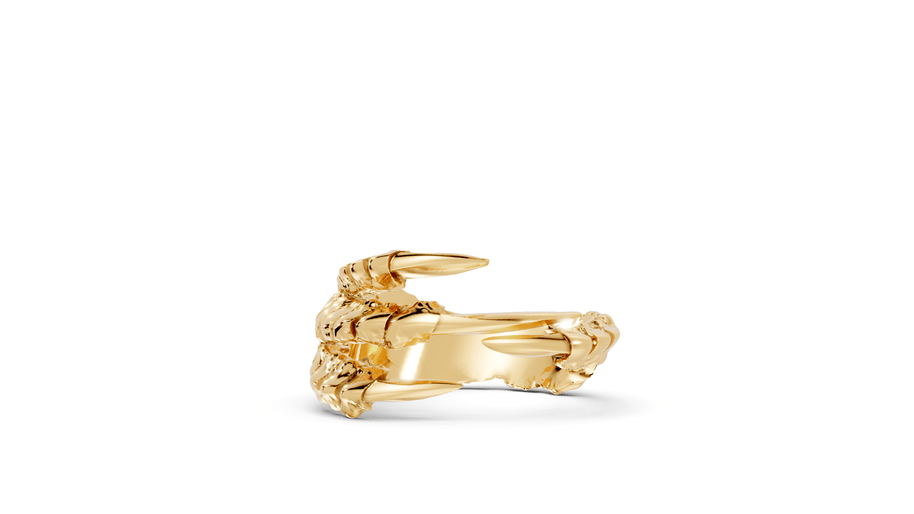 Talons - 10K Yellow Gold - Pocket Rock Jewelry