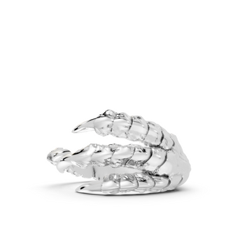 Talons - Sterling - Pocket Rock Jewelry