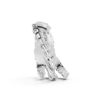 Talons - Sterling - Pocket Rock Jewelry