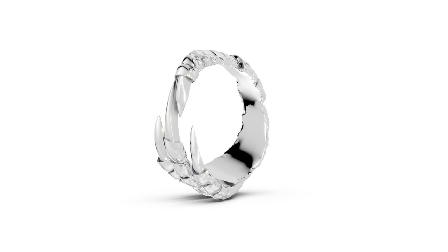 Talons - Sterling - Pocket Rock Jewelry