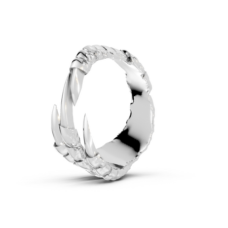 Talons - Sterling - Pocket Rock Jewelry
