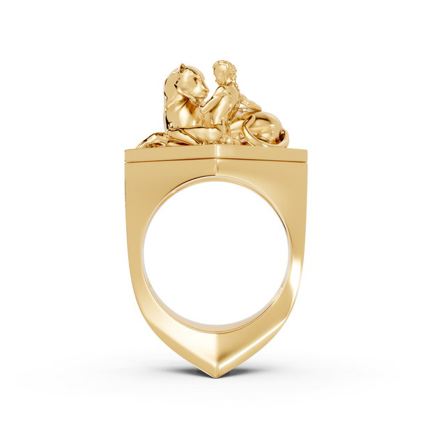 Tamed - 10K Yellow Gold - Pocket Rock Jewelry