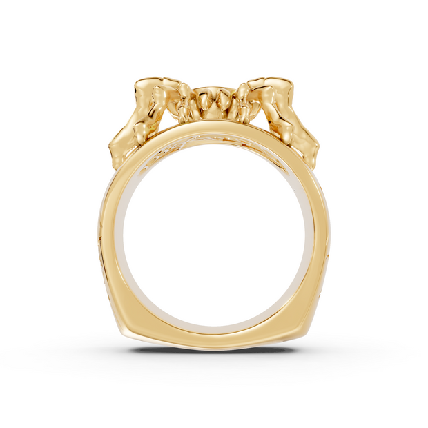 Tarantula in Black - 10K Yellow Gold - Pocket Rock Jewelry